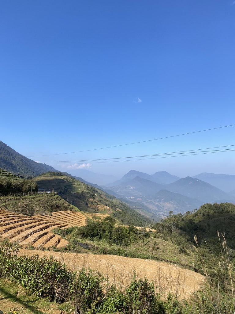Sapa