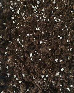 photo substrat